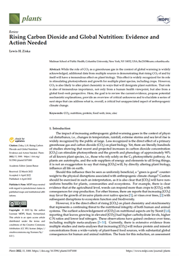 Screenshot des Texts „Rising Carbon Dioxide and Global Nutrition: Evidence and Action Needed“.