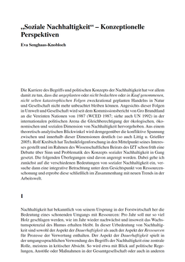 Screenshot des Texts "'Soziale Nachhaltigkeit' – Konzeptionelle Perspektiven."