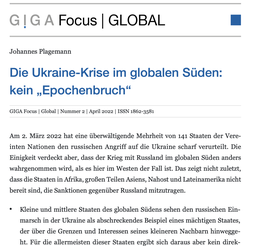Screenshot des Texts "Die Ukraine-Krise im globalen Süden"