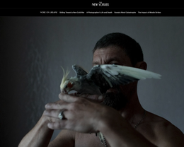 Screenshot des Texts „The Hunt for Russian Collaborators in Ukraine“