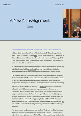 Screenshot des Texts "A New Non-Alignment".