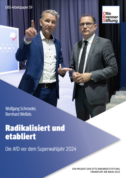 Screenshot des Texts „Radikalisiert und etabliert. Die AfD vor dem Superwahljahr 2024“.